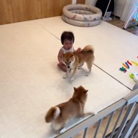 ヒートアップしてきても…