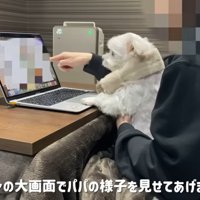 リハビリ中の動画を再生
