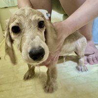 初めて