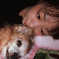 女の子と犬