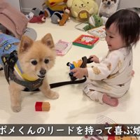 ポメくんはお散歩に出発