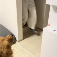 たくさん風船が出てきた時のさらちゃん2
