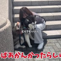 1年ぶりの階段チャレンジ