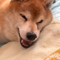 「あー、楽しかった～♪」