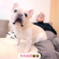 エルモくんとおばあちゃんの日常