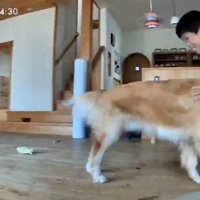 「おかえりぃぃ」