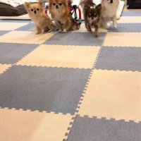 みんなで歩みを進めると…