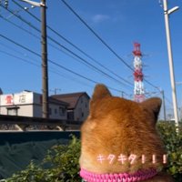 ワクワクするくうちゃん