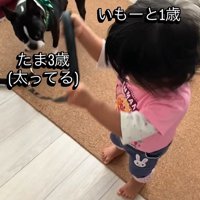 たま君と女の子の成長2