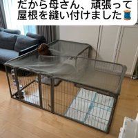 屋根を作成