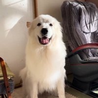 お風呂上がりは笑顔に♪