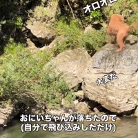 「大変！溺れている！」