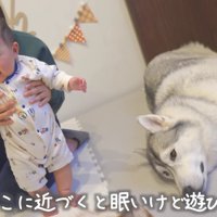 「もうネンネだよ」