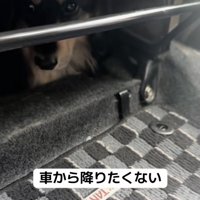 強い意志を感じます