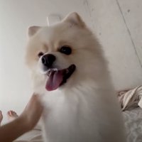 ナデナデは大満喫