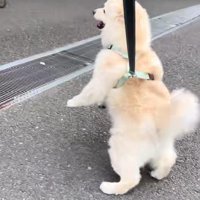 「推し」がいる場所♡