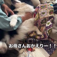 マリちゃんの熱烈歓迎5