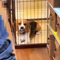 歯茎全開の姿に！！