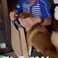 「待ってたよ！！」