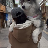 1歳