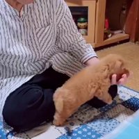 「なでて♡」