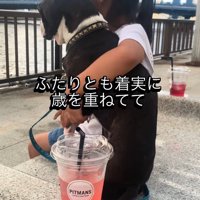 椅子に並んで座る犬と女の子