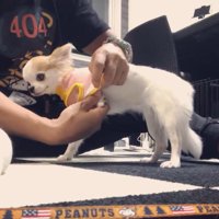 準備中もお利口さん♪