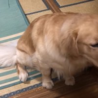 お座りのままお行儀よく…