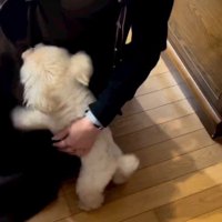 ママへの愛情表現にほっこり