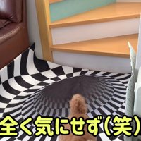 全然気にしてない！