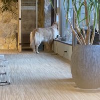 「光ってる…」