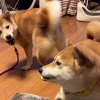 「こんな感じ！？」