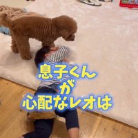 男の子を心配するレオくん