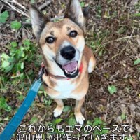 幸せそうな表情に感動