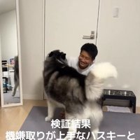 甘えるケールくん