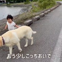 危ないので声を掛けたら…