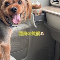 笑顔の犬