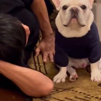 満足そうなお顔♪