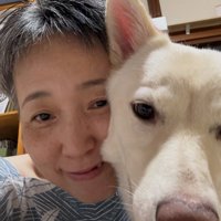 最後の相棒になる予定
