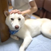撫でてもらえてご満悦♪