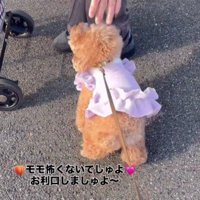 モモちゃんが近づくと…