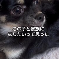 家族として迎えることを決意