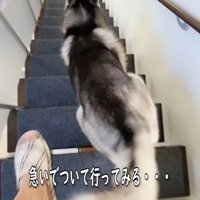一緒に1階に向かいます