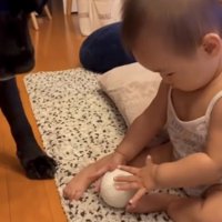 ボールを掴もうとする子ども