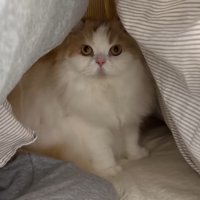 お布団の中へ♪