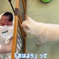 ニオイを嗅ぐと…