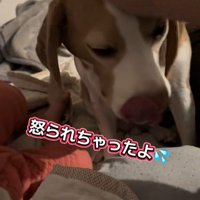 しょんぼり…