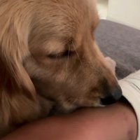 「ごめん、痛いよね…」