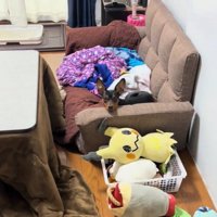 目が合うふたり