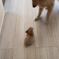 緊張するけれど…